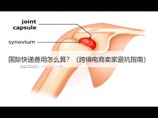 国际快递费用怎么算?(跨境电商卖家避坑指南)(图1) 国际快递费用怎么算?(跨境电商卖家避坑指南)(图1)