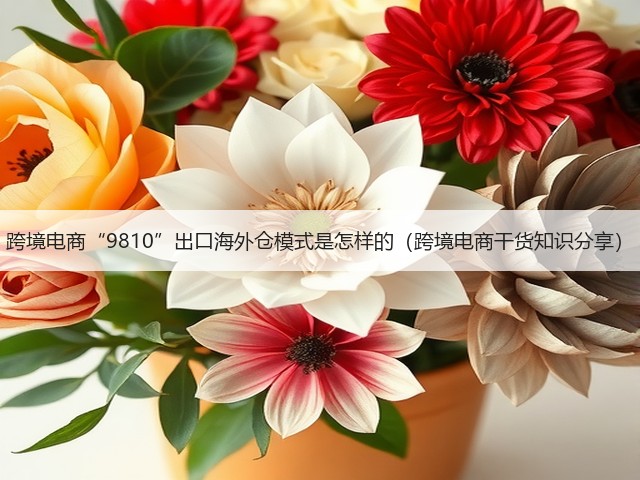 跨境电商“9810”出口海外仓模式是怎样的（跨境电商干货知识分享）(图3)