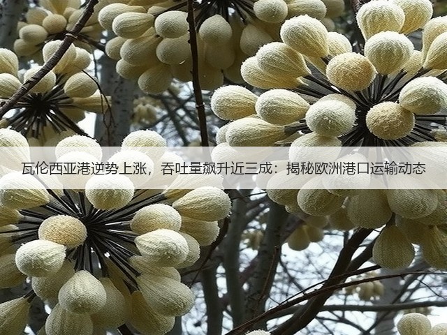 瓦伦西亚港逆势上涨,吞吐量飙升近三成:揭秘欧洲港口运输动态(图2) 瓦伦西亚港逆势上涨,吞吐量飙升近三成:揭秘欧洲港口运输动态(图2)