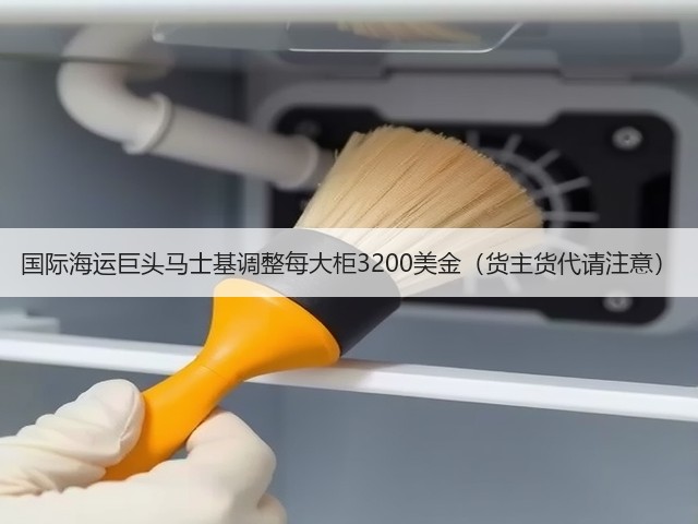 国际海运巨头马士基调整每大柜3200美金(货主货代请注意)(图2) 国际海运巨头马士基调整每大柜3200美金(货主货代请注意)(图2)