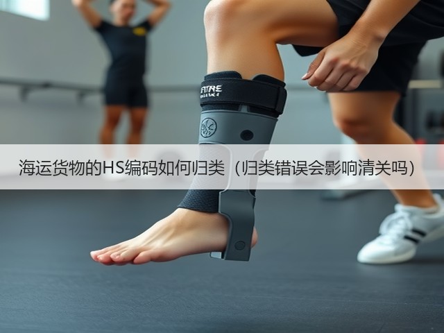 海运货物的HS编码如何归类(归类错误会影响清关吗)(图3) 海运货物的HS编码如何归类(归类错误会影响清关吗)(图3)