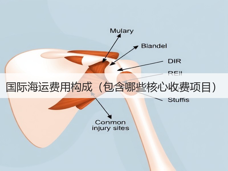 国际海运费用构成（包含哪些核心收费项目）
