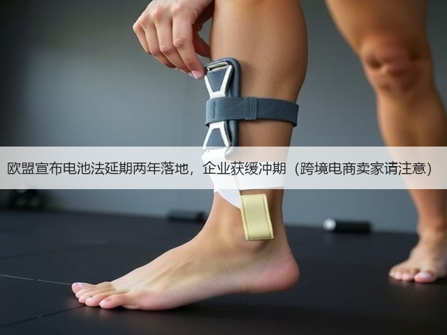 欧盟宣布电池法延期两年落地,企业获缓冲期(跨境电商卖家请注意)(图2) 欧盟宣布电池法延期两年落地,企业获缓冲期(跨境电商卖家请注意)(图2)