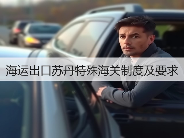 海运出口苏丹特殊海关制度及要求(图3) 海运出口苏丹特殊海关制度及要求(图3)