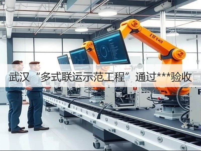 武汉“多式联运示范工程”通过***验收