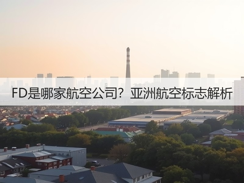 FD是哪家航空公司？亚洲航空标志解析
