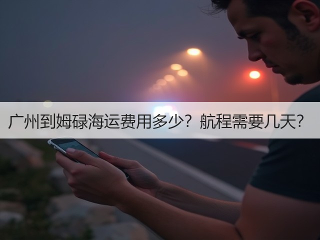 广州到姆碌海运费用多少？航程需要几天？(图3)