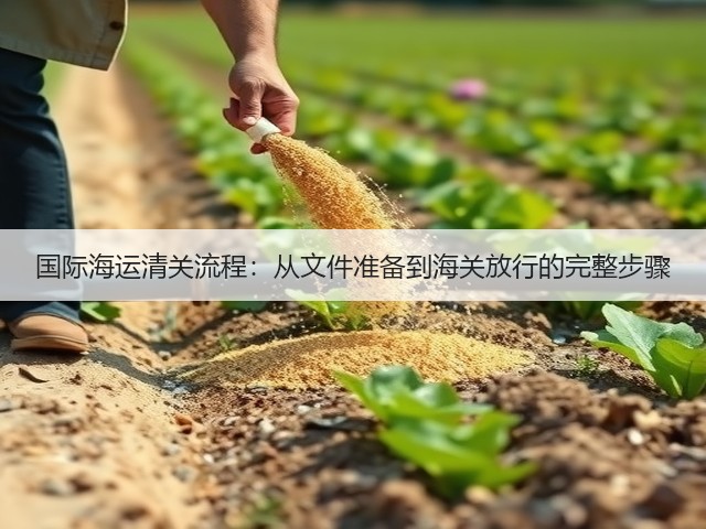 国际海运清关流程：从文件准备到海关放行的完整步骤(图1)