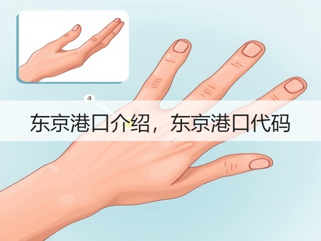 东京港口介绍,东京港口代码(图1) 东京港口介绍,东京港口代码(图1)