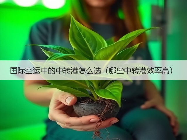 国际空运中的中转港怎么选（哪些中转港效率高）(图2)