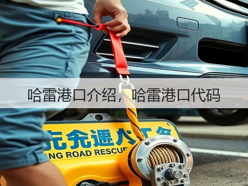 哈雷港口介绍，哈雷港口代码