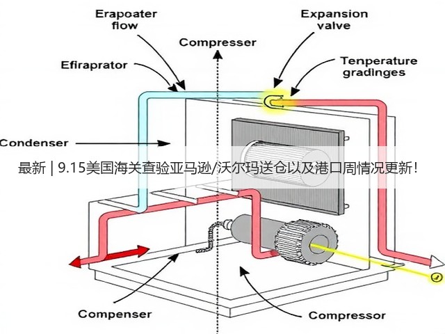 最新 | 9.15美国海关查验亚马逊/沃尔玛送仓以及港口周情况更新!(图2) 最新 | 9.15美国海关查验亚马逊/沃尔玛送仓以及港口周情况更新!(图2)