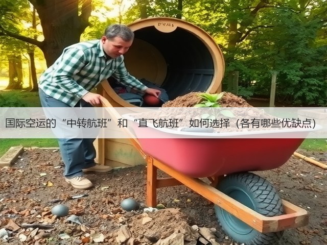 国际空运的“中转航班”和“直飞航班”如何选择(各有哪些优缺点)(图2) 国际空运的“中转航班”和“直飞航班”如何选择(各有哪些优缺点)(图2)