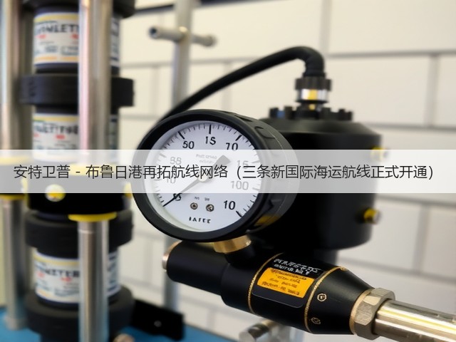 安特卫普 - 布鲁日港再拓航线网络(三条新国际海运航线正式开通)(图3) 安特卫普 - 布鲁日港再拓航线网络(三条新国际海运航线正式开通)(图3)