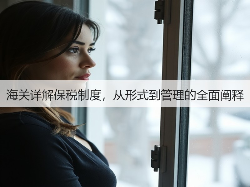 海关详解保税制度，从形式到管理的全面阐释