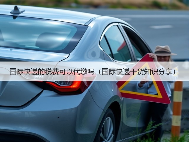 国际快递的税费可以代缴吗(国际快递干货知识分享)(图2) 国际快递的税费可以代缴吗(国际快递干货知识分享)(图2)