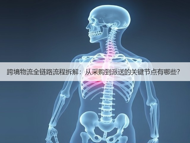 跨境物流全链路流程拆解:从采购到派送的关键节点有哪些?(图2) 跨境物流全链路流程拆解:从采购到派送的关键节点有哪些?(图2)