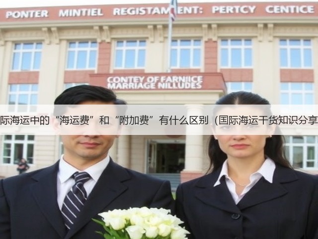 国际海运中的“海运费”和“附加费”有什么区别(国际海运干货知识分享)(图3) 国际海运中的“海运费”和“附加费”有什么区别(国际海运干货知识分享)(图3)