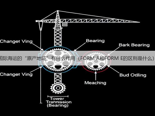 国际海运的“原产地证”有什么作用(FORM A和FORM E的区别是什么)(图1) 国际海运的“原产地证”有什么作用(FORM A和FORM E的区别是什么)(图1)