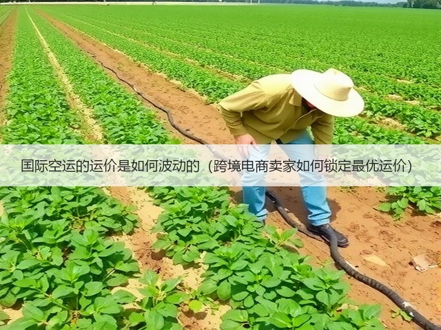 国际空运的运价是如何波动的(跨境电商卖家如何锁定最优运价)(图3) 国际空运的运价是如何波动的(跨境电商卖家如何锁定最优运价)(图3)
