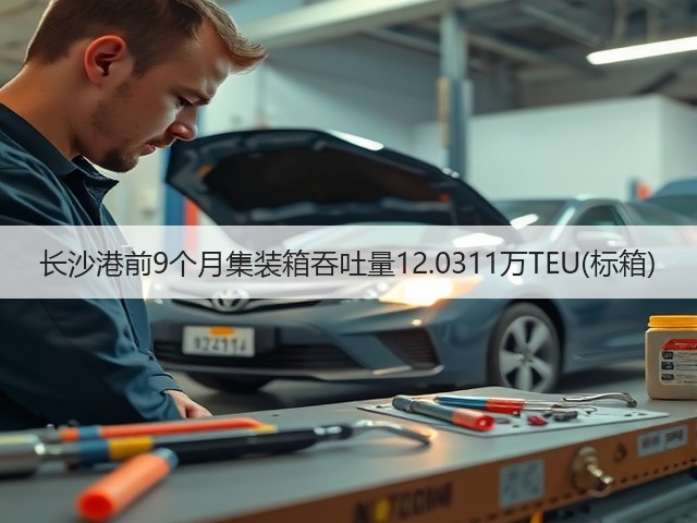 长沙港前9个月集装箱吞吐量12.0311万TEU(标箱)(图1)