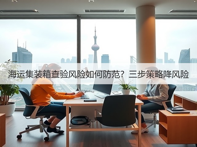 海运集装箱查验风险如何防范?三步策略降风险(图3) 海运集装箱查验风险如何防范?三步策略降风险(图3)