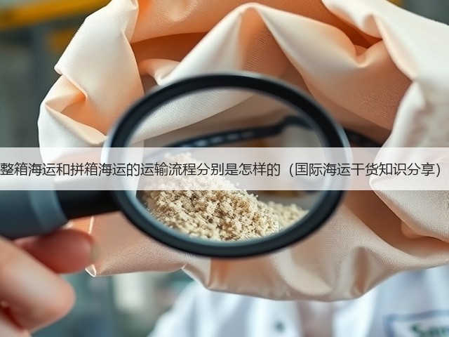 整箱海运和拼箱海运的运输流程分别是怎样的(国际海运干货知识分享)(图3) 整箱海运和拼箱海运的运输流程分别是怎样的(国际海运干货知识分享)(图3)