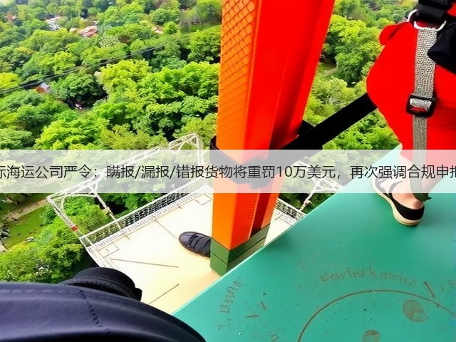 国际海运公司严令:瞒报/漏报/错报货物将重罚10万美元,再次强调合规申报!(图2) 国际海运公司严令:瞒报/漏报/错报货物将重罚10万美元,再次强调合规申报!(图2)