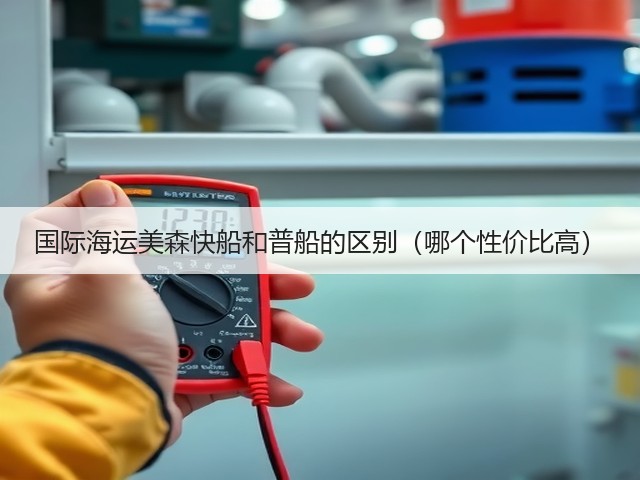 国际海运美森快船和普船的区别(哪个性价比高)(图3) 国际海运美森快船和普船的区别(哪个性价比高)(图3)