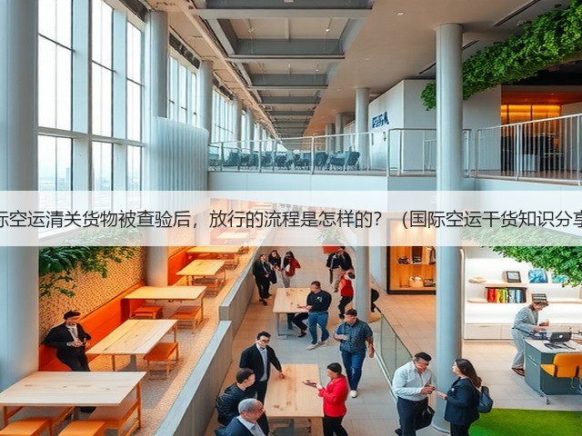 国际空运清关货物被查验后,放行的流程是怎样的?(国际空运干货知识分享)(图2) 国际空运清关货物被查验后,放行的流程是怎样的?(国际空运干货知识分享)(图2)