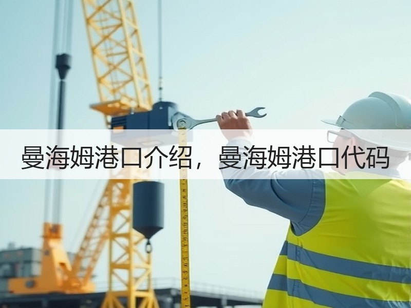 曼海姆港口介绍,曼海姆港口代码 曼海姆港口介绍,曼海姆港口代码
