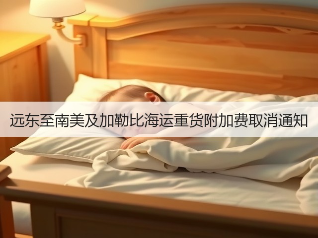 远东至南美及加勒比海运重货附加费取消通知(图3) 远东至南美及加勒比海运重货附加费取消通知(图3)