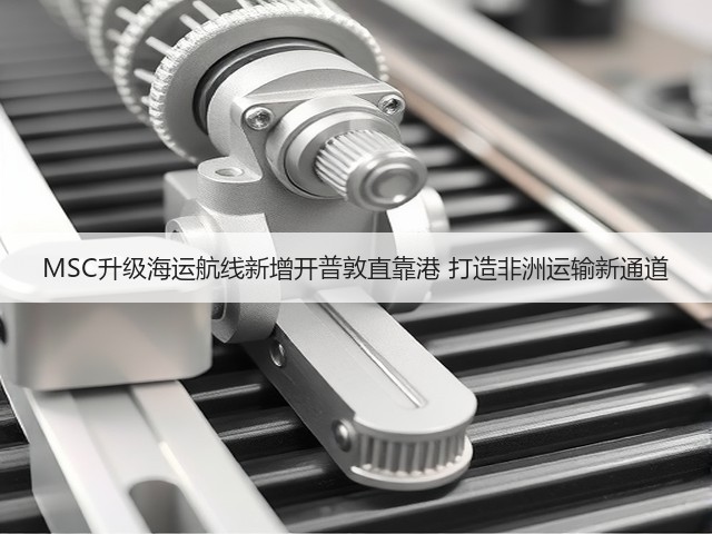 MSC升级海运航线新增开普敦直靠港 打造非洲运输新通道(图3) MSC升级海运航线新增开普敦直靠港 打造非洲运输新通道(图3)