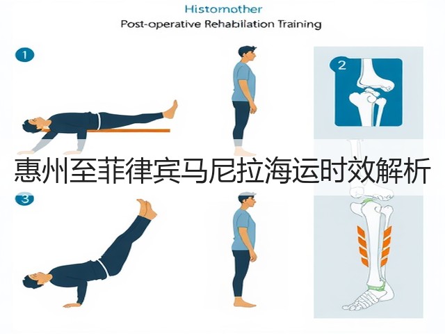 惠州至菲律宾马尼拉海运时效解析(图3) 惠州至菲律宾马尼拉海运时效解析(图3)