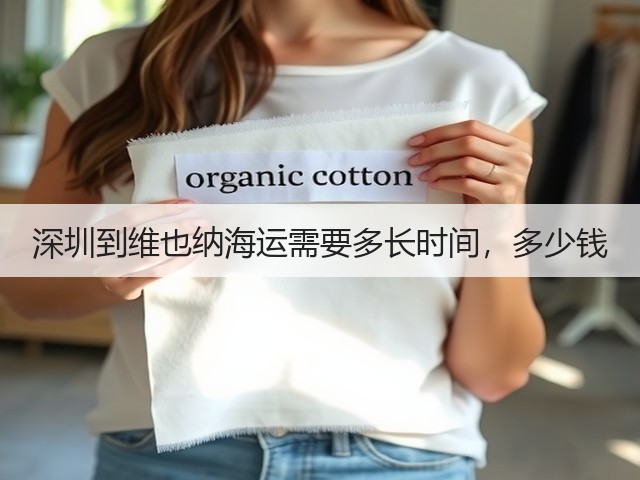 深圳到维也纳海运需要多长时间，多少钱(图1)