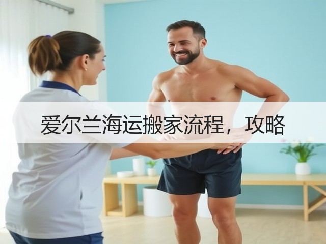 爱尔兰海运搬家流程,攻略(图3) 爱尔兰海运搬家流程,攻略(图3)