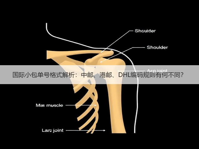 国际小包单号格式解析:中邮、港邮、DHL编码规则有何不同?(图1) 国际小包单号格式解析:中邮、港邮、DHL编码规则有何不同?(图1)