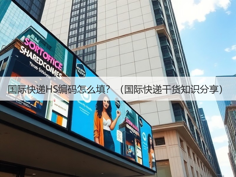 国际快递HS编码怎么填？（国际快递干货知识分享）