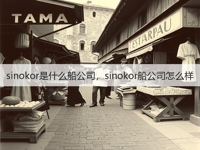 sinokor是什么船公司，sinokor船公司怎么样(图2)