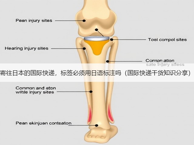 寄往日本的国际快递,标签必须用日语标注吗(国际快递干货知识分享)(图3) 寄往日本的国际快递,标签必须用日语标注吗(国际快递干货知识分享)(图3)