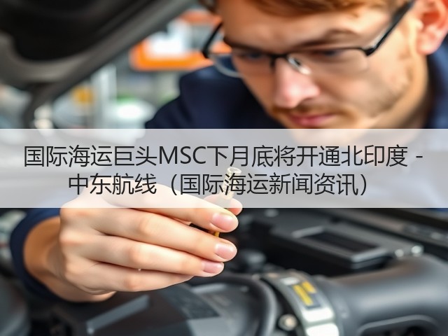 国际海运巨头MSC下月底将开通北印度 - 中东航线（国际海运新闻资讯）(图1)
