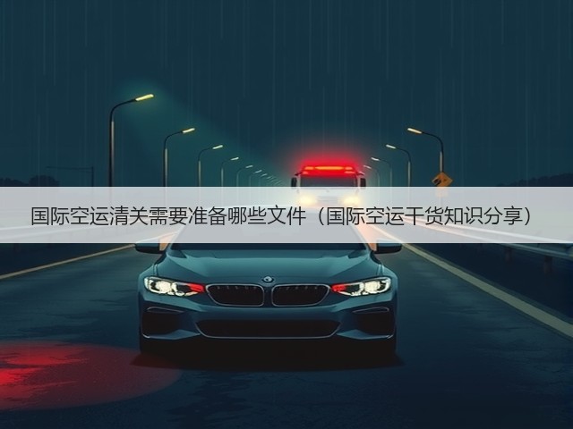 国际空运清关需要准备哪些文件(国际空运干货知识分享)(图3) 国际空运清关需要准备哪些文件(国际空运干货知识分享)(图3)