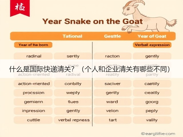 什么是国际快递清关?(个人和企业清关有哪些不同)(图1) 什么是国际快递清关?(个人和企业清关有哪些不同)(图1)