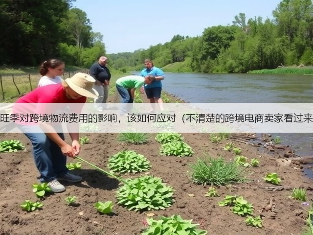 淡旺季对跨境物流费用的影响,该如何应对(不清楚的跨境电商卖家看过来)(图3) 淡旺季对跨境物流费用的影响,该如何应对(不清楚的跨境电商卖家看过来)(图3)