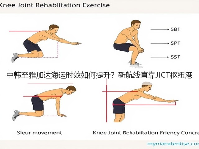 中韩至雅加达海运时效如何提升？新航线直靠JICT枢纽港(图2)