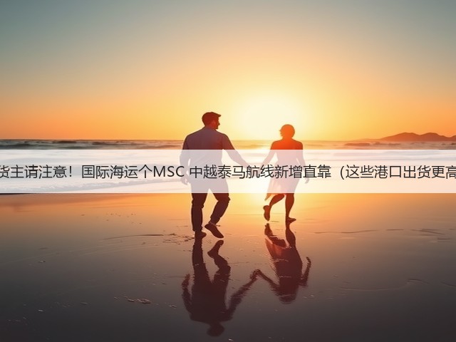 中国货主请注意!国际海运个MSC 中越泰马航线新增直靠(这些港口出货更高效)(图1) 中国货主请注意!国际海运个MSC 中越泰马航线新增直靠(这些港口出货更高效)(图1)