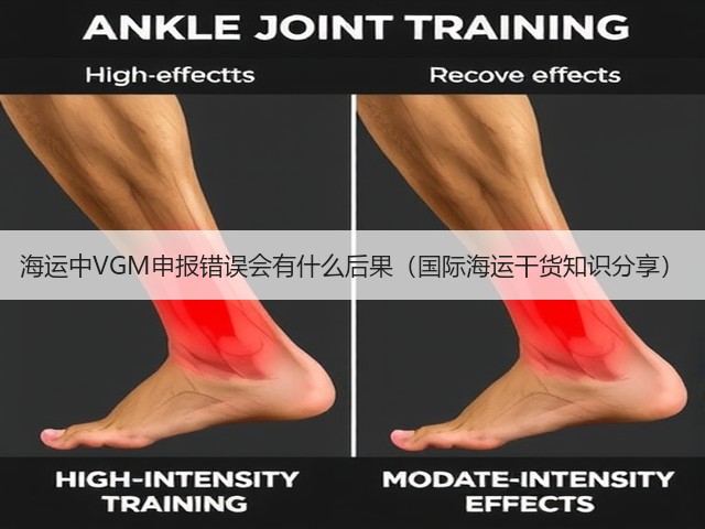 海运中VGM申报错误会有什么后果（国际海运干货知识分享）(图3)