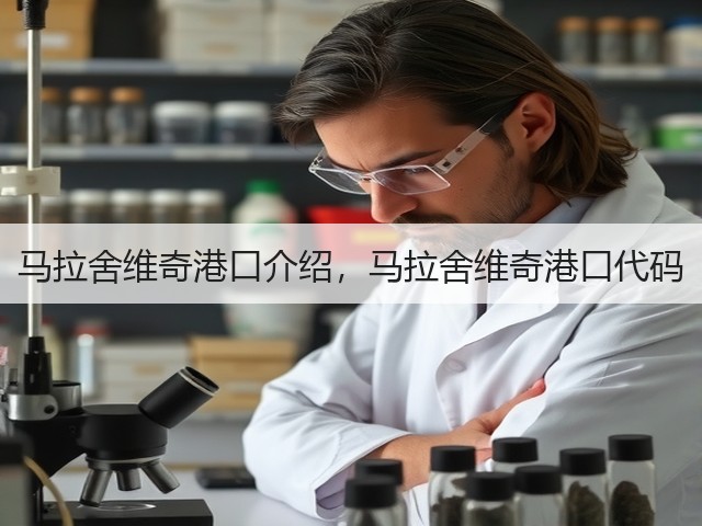 马拉舍维奇港口介绍,马拉舍维奇港口代码(图1) 马拉舍维奇港口介绍,马拉舍维奇港口代码(图1)