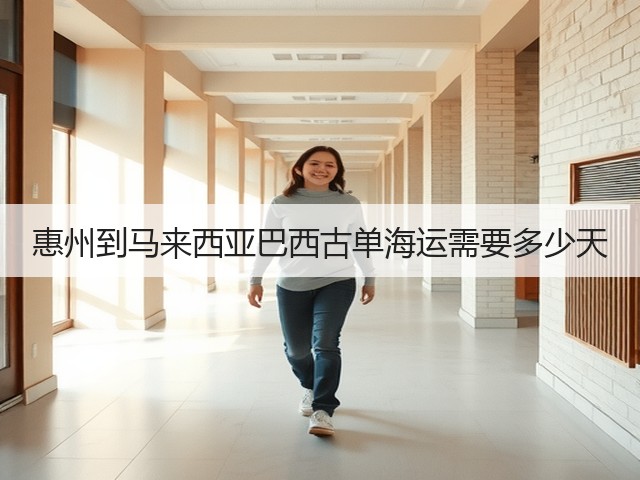 惠州到马来西亚巴西古单海运需要多少天(图1) 惠州到马来西亚巴西古单海运需要多少天(图1)