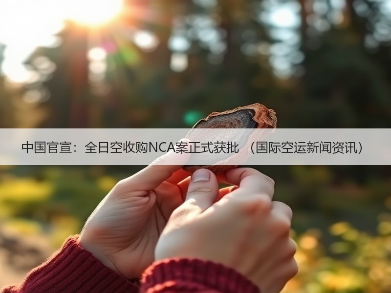 中国官宣:全日空收购NCA案正式获批 (国际空运新闻资讯) 中国官宣:全日空收购NCA案正式获批 (国际空运新闻资讯)